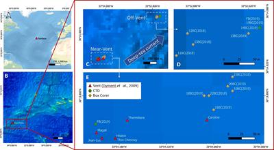 Influence of Chemoautotrophic Organic Carbon on Sediment and Its Infauna in the Vicinity of the Rainbow Vent Field